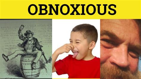 abnoxious meaning|what is obnoxious person.